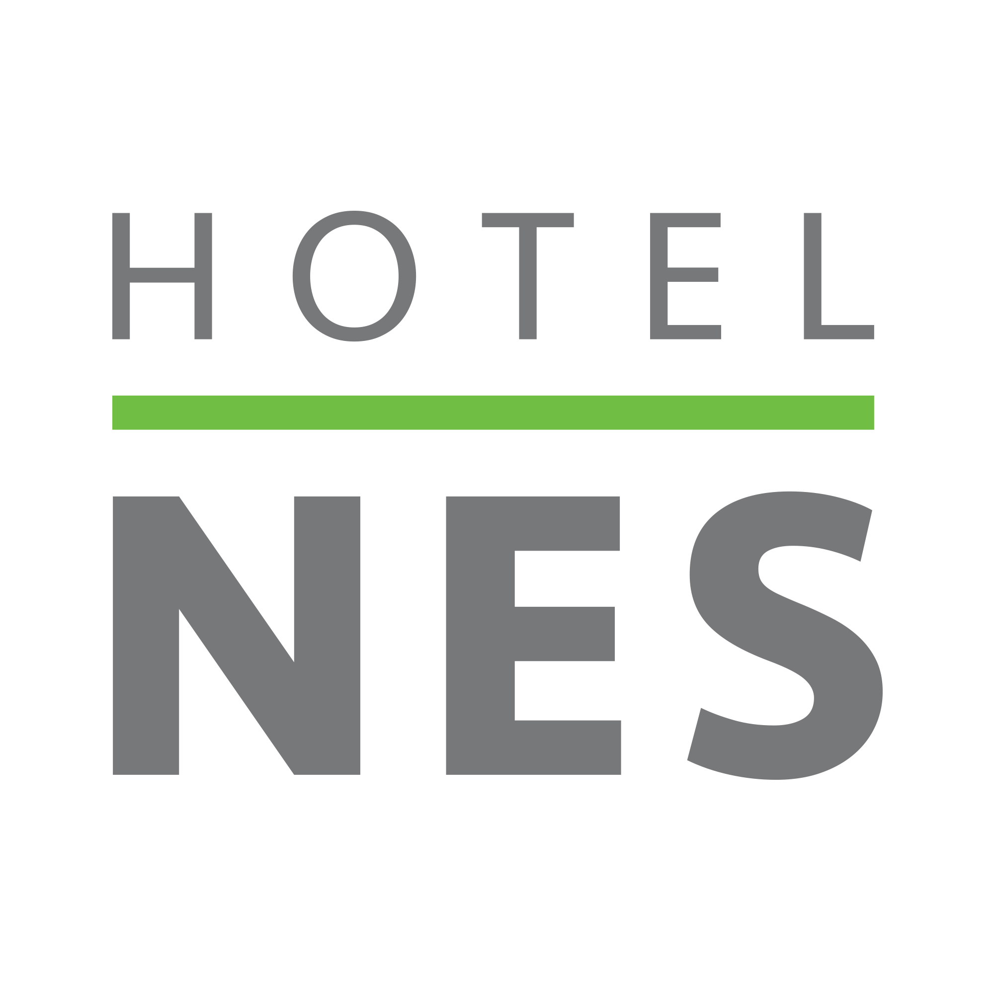 Hotel Nes